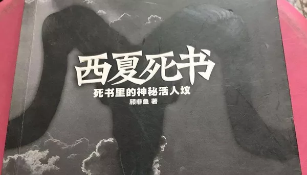 萧夜明演播版《西夏死书》有声小说全集音频合集