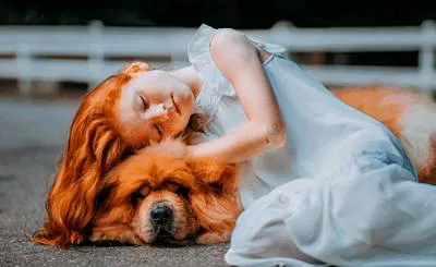 免费PS动感映像插件-ImageMotion V1.3中文版