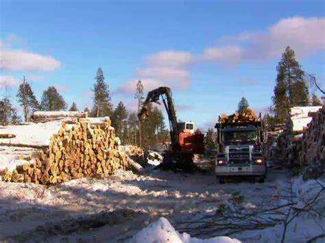 纪录片-【美国伐木工】1-3季（30集全）-英语中字-【1080P】
